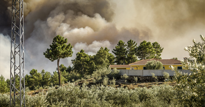 Family home threatened by bushfire.