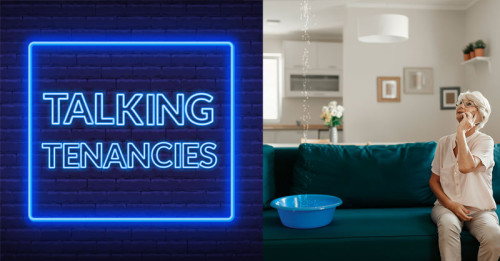 talking-tenancies-HLA-minimum-housing-standards-800x418