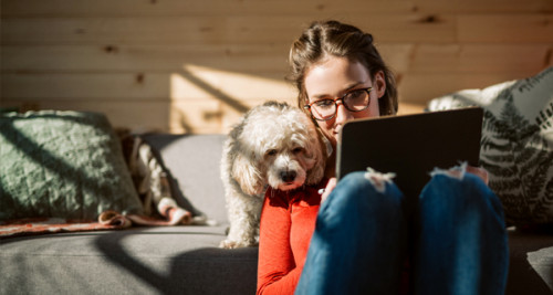A woman and a dig looking at a laptop screen